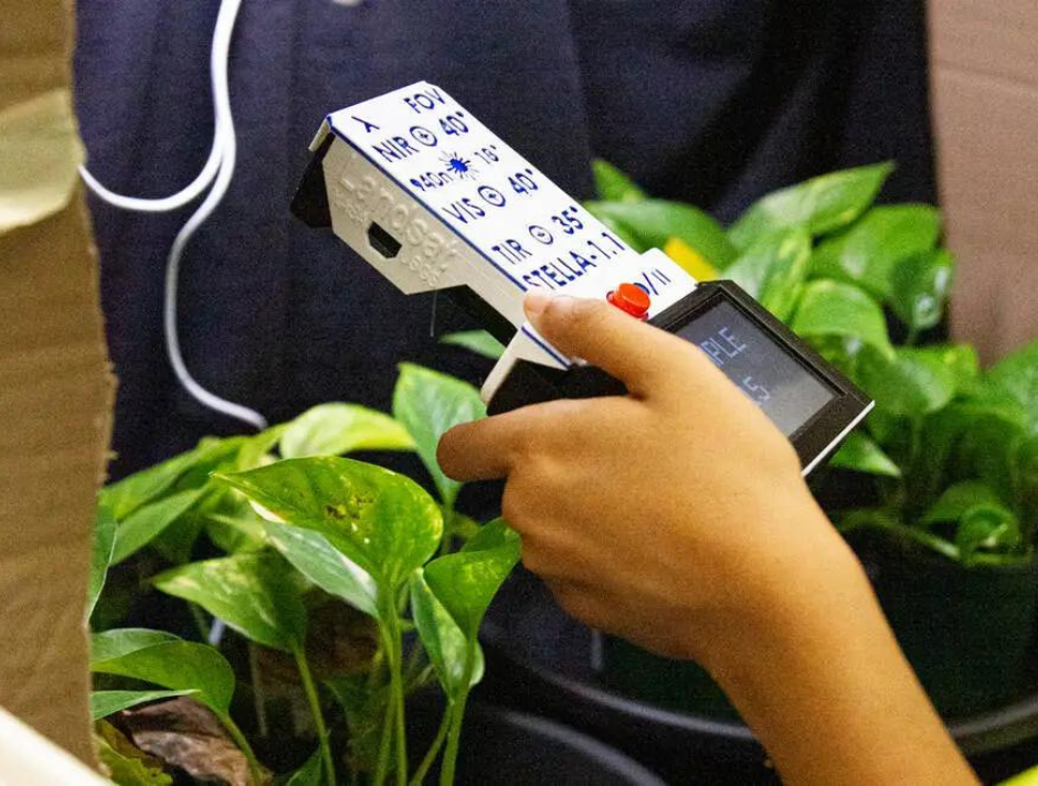 A STELLA held up to a house plant 
