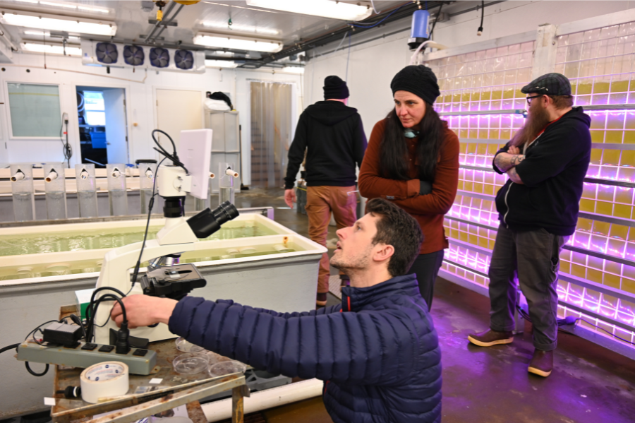 A researcher operates a microscope beside a series of water tanks while explaining equipment to three visitors in an aquaculture laboratory. The facility includes illuminated wall panels, research tanks, and scientific instruments used for marine cultivation and monitoring.