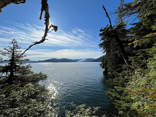Image showing parcel foliage, water frontage, and view of Tebenkof Glacier from a waterfront parcel in Tebenkof View Estates on Logging Camp Bay in Prince William Sound, Alaska.