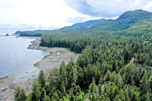 An aerial view of a parcel of land along the coast, with evergreen trees and ocean