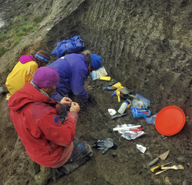 Scientists excavate at the site on the Colville River where many of the fish fossils were found.