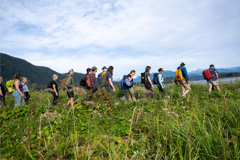A large group of students walks through a coastal meadow.