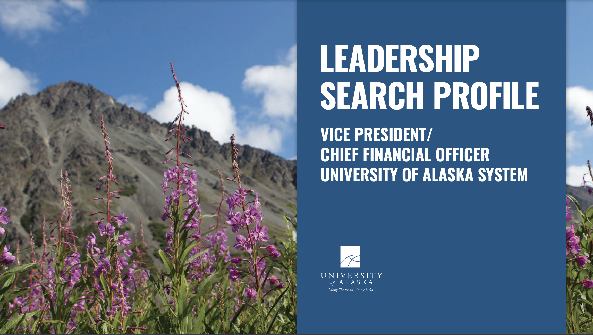 the homepage for the CAO position profile