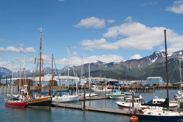 photo of the Juneau harbor