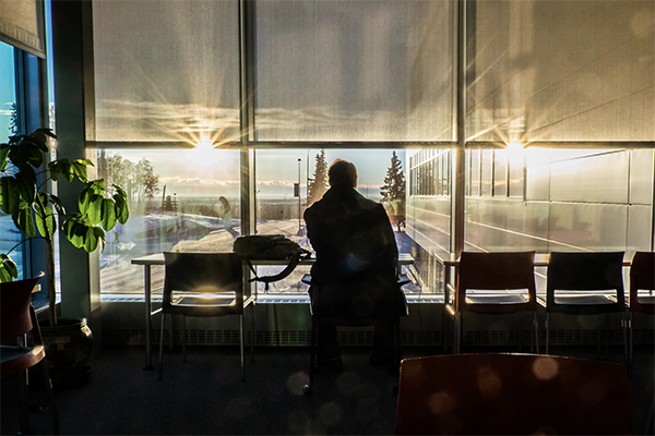 winter sun at the Murie Building