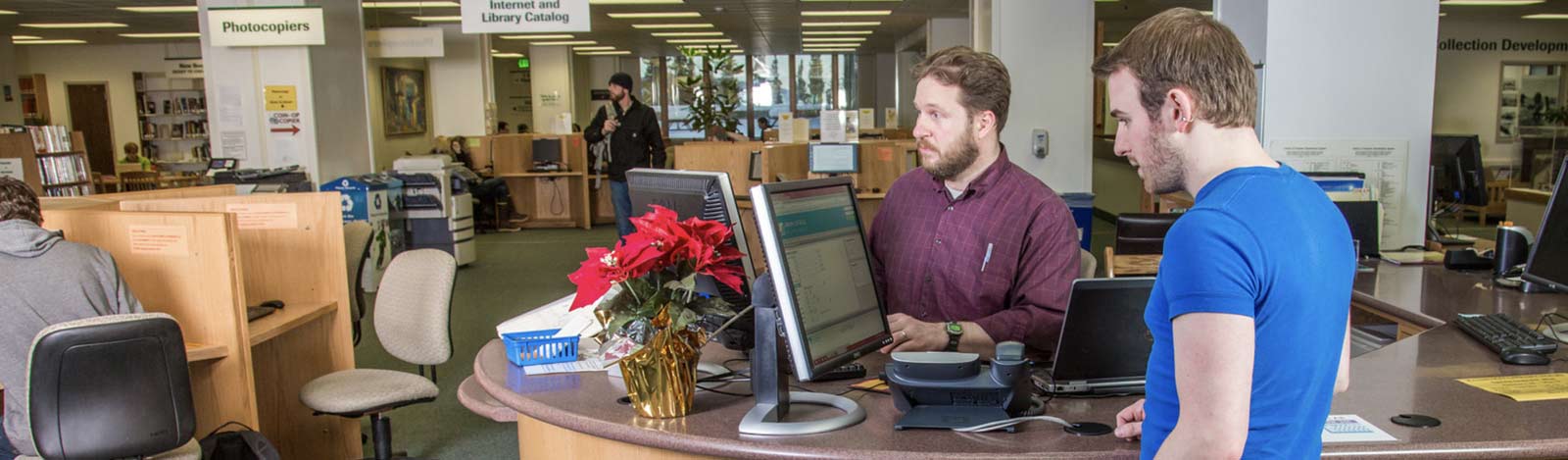 two men looking in the computers