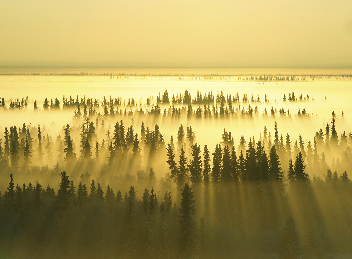 Ice fog sunset