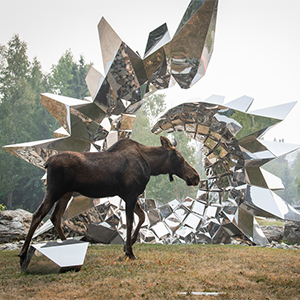 Moose in front of art sculpture