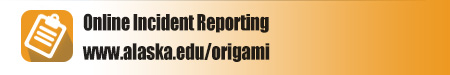 Online Incident Reporting