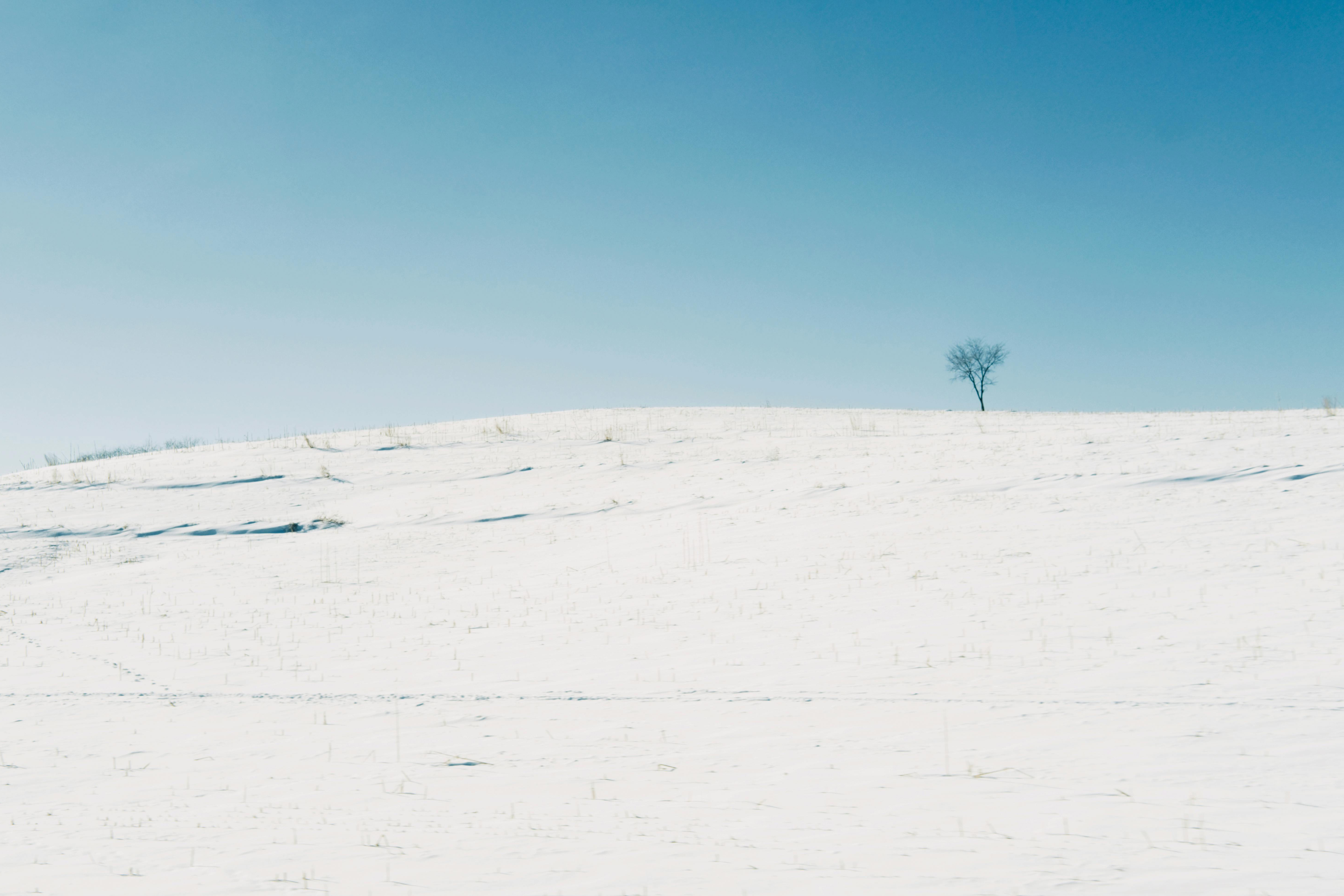 Lessons from the Alaskan restorative justice field Snow covered field.