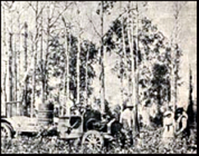 Truck carrying water, cement, and sand for cornerstone on newly cut road atop College Hill. Pictured are (probably) the Wickershams and auto owner J.J. Groves in 1915. Photo: UA Alumni Association