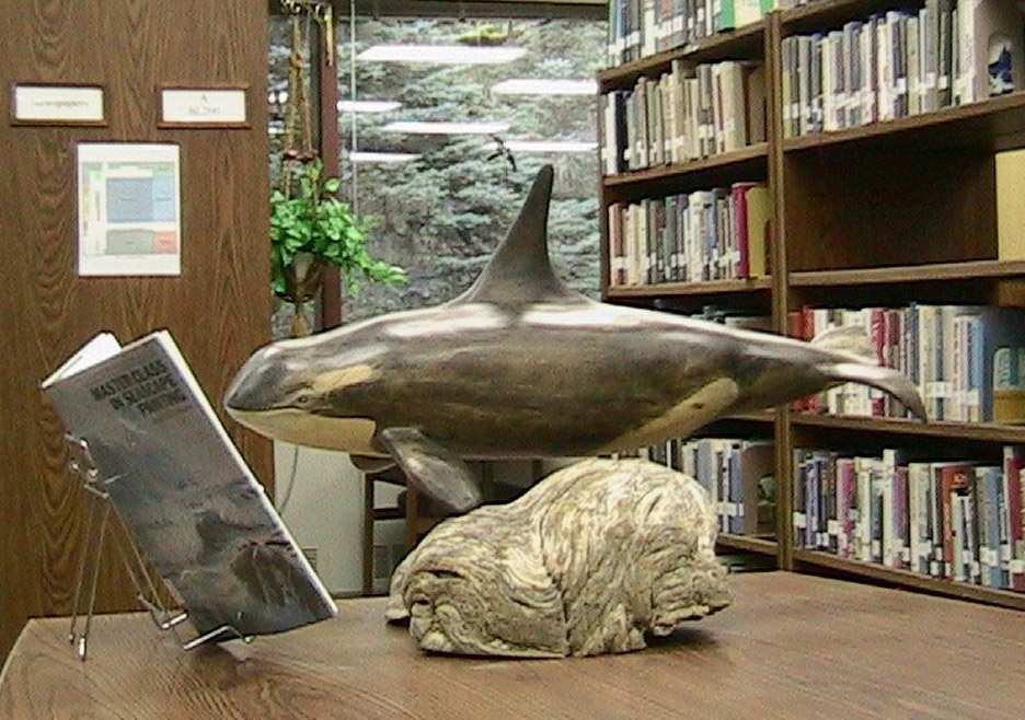 Carolyn Floyd Library