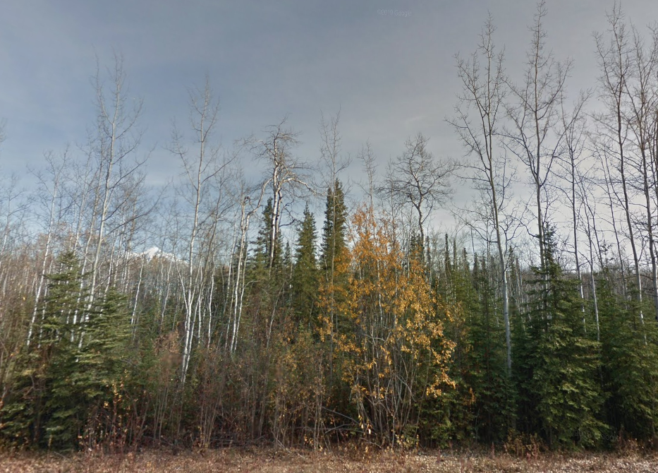 Trees