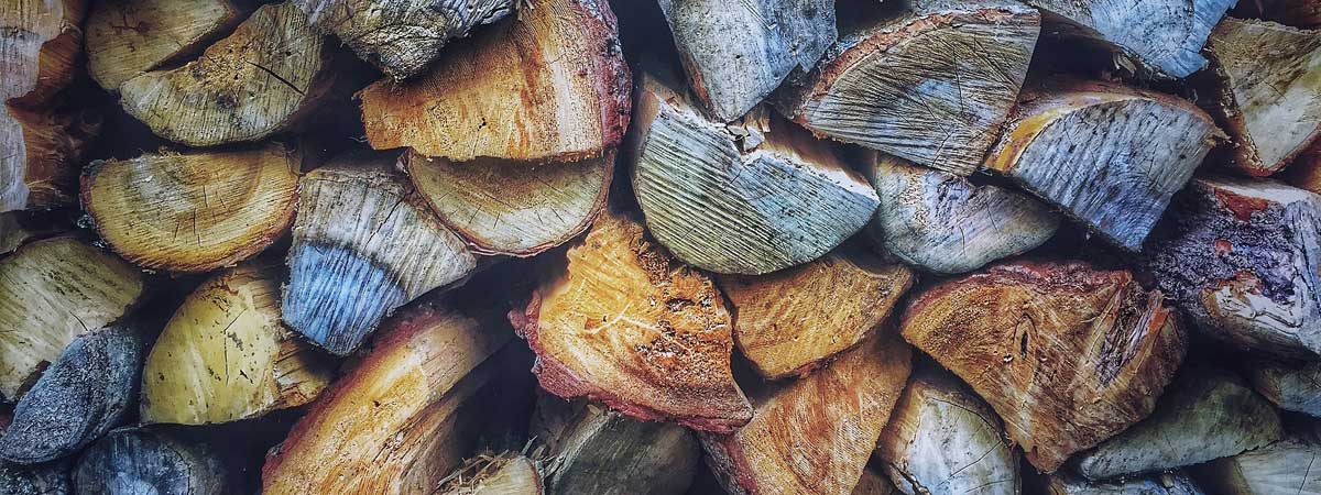 Firewood