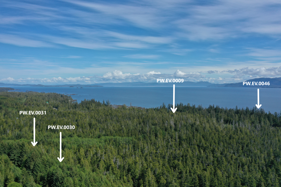 Overview of PW.EV.009, PW.EV.0030-31 and PW.EV.0046