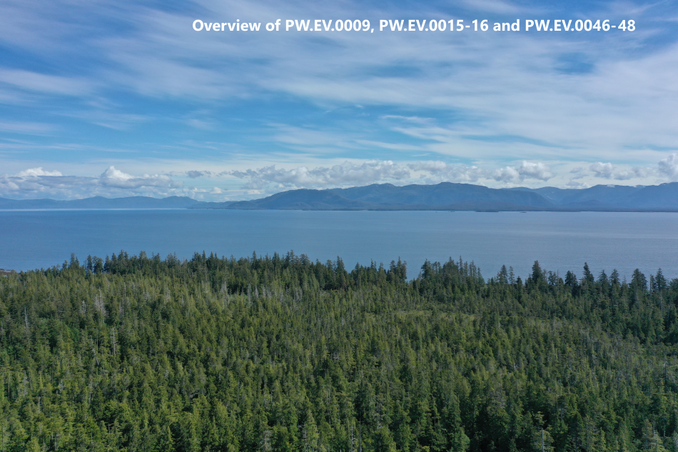 Etolin View Subdivision Partial Overview