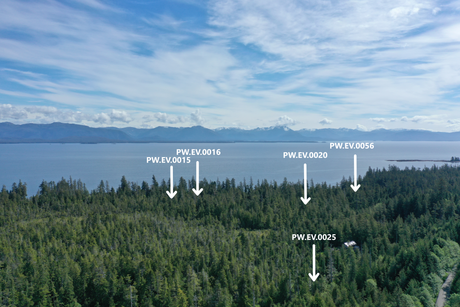Overview of PW.EV.0015-16, PW.EV.0020, PW.EV.0025 and PW.EV.0056