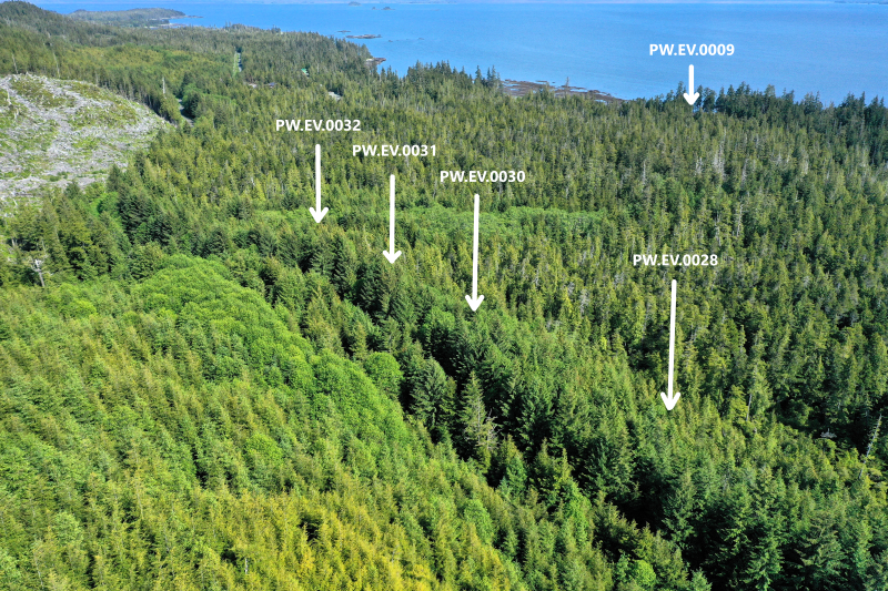 Overview of PW.EV.0009, PW.EV.0028 and PW.EV.0030-32