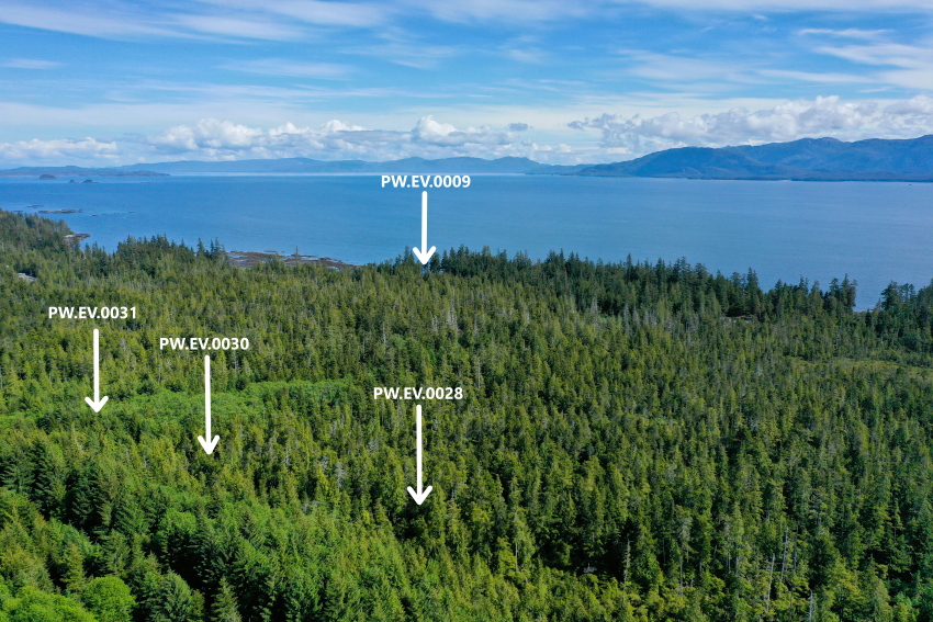 Overview of PW.EV.0009, PW.EV.0028 and PW.EV.0030-31