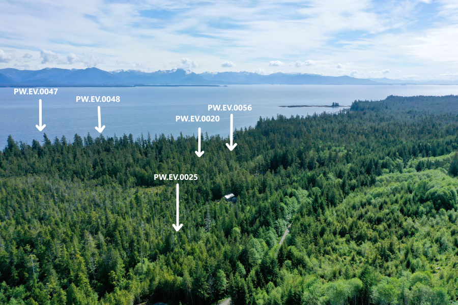 Overview of PW.EV.0046-47