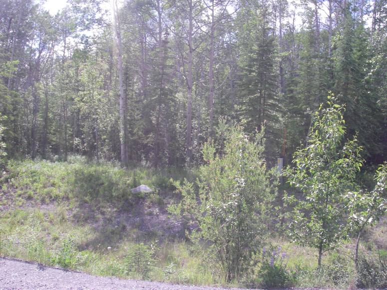 Silver Springs Road Frontage