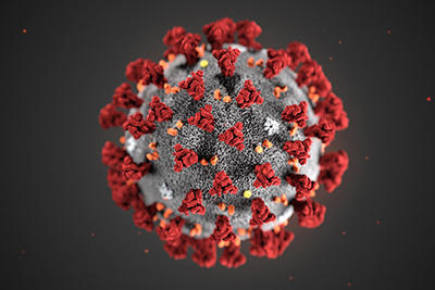 Corona Virus