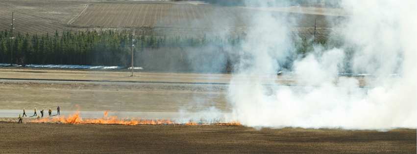 Photo of brush fire outside of the Butrovich building. 