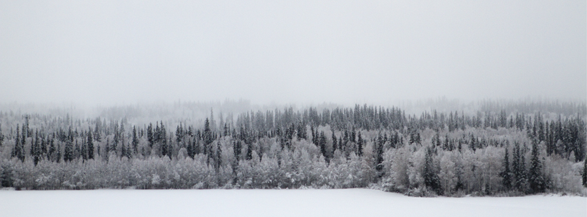 Photo of trees outside of the Butrovich building. 